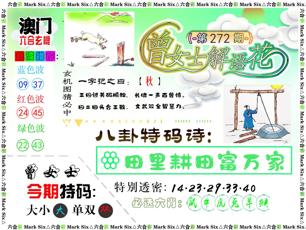 曾女士解语花 第272期