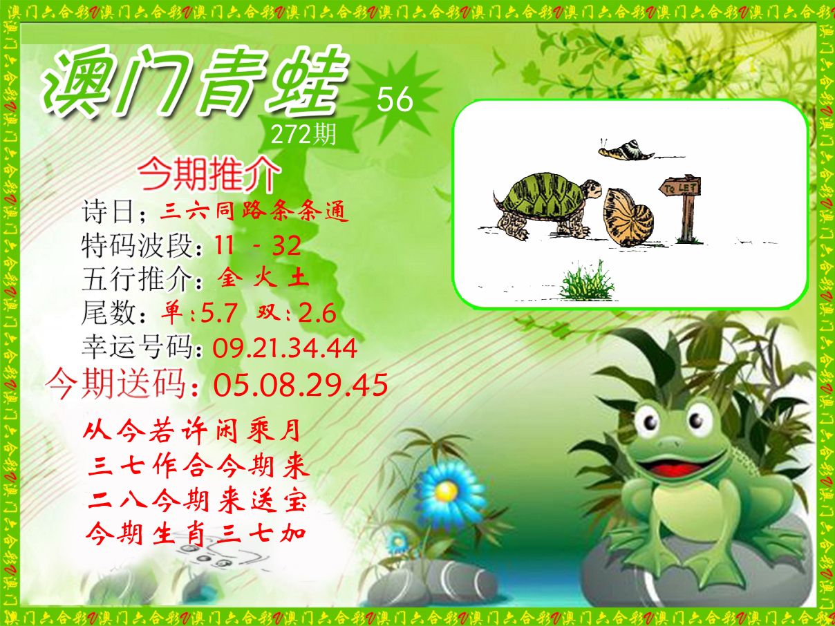 青蛙系列56 第272期