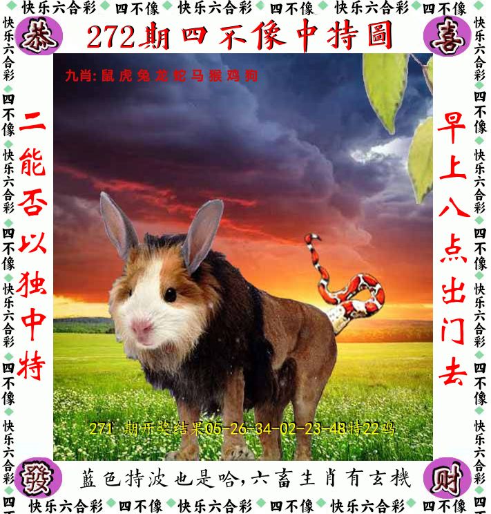 四不像 第272期