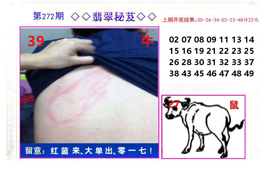 翡翠秘芨 第272期