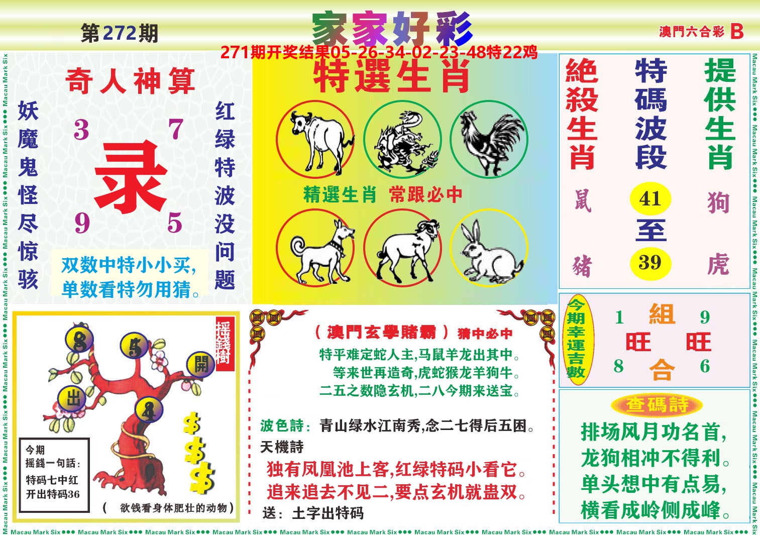 家家好彩B 第272期
