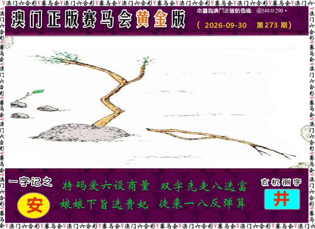赛马会黄金版 第273期