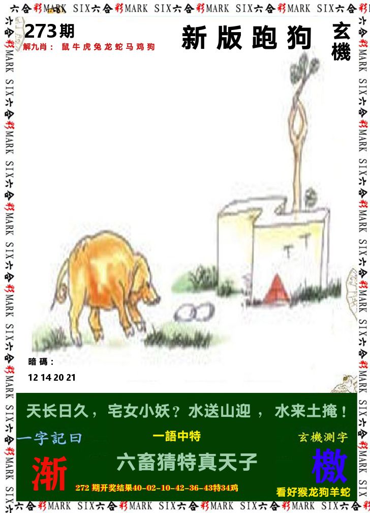 悟入其图 第273期