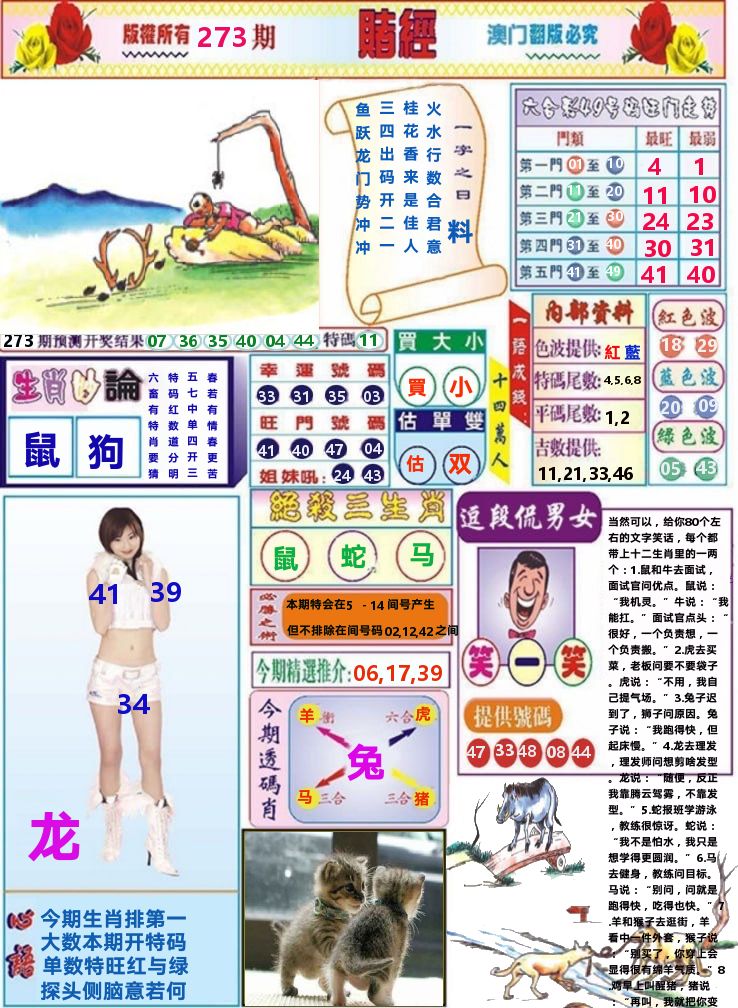 澳门赌经 第273期