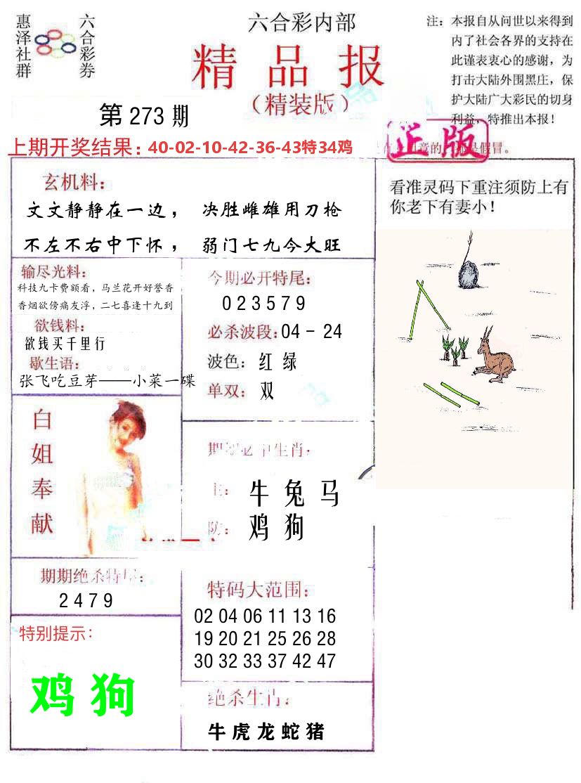 精品报 第273期