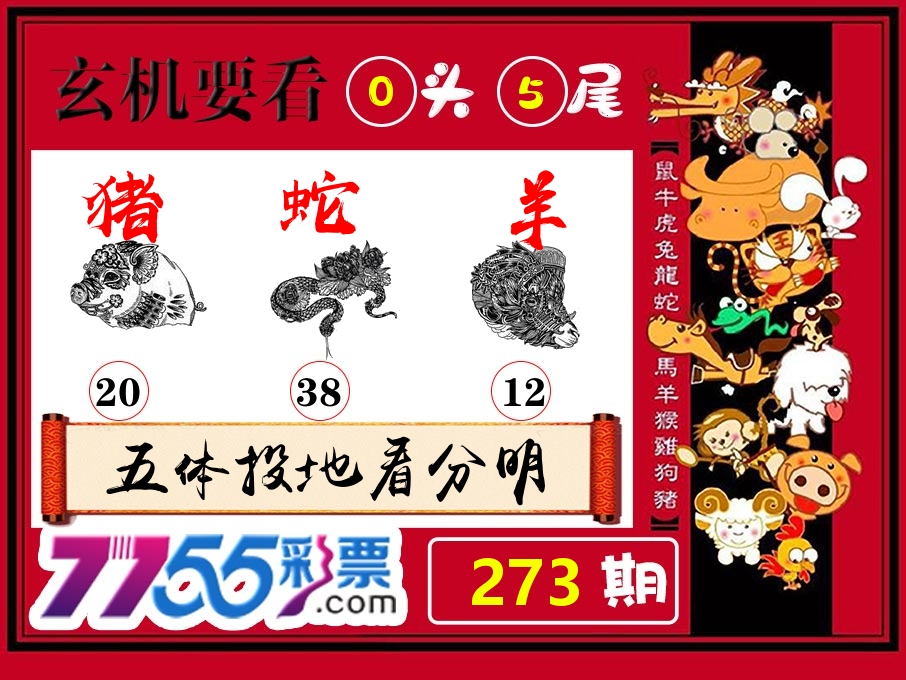 玄机要看 第273期