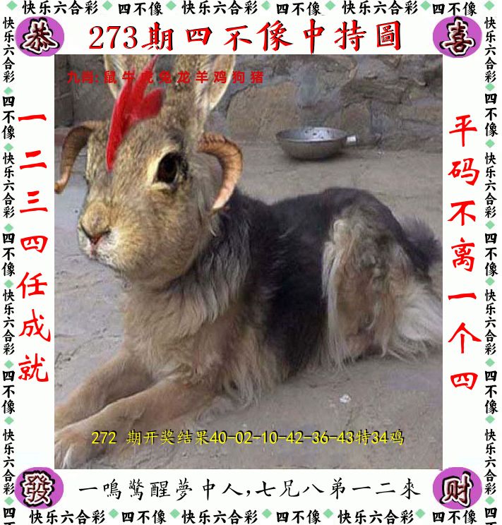 四不像 第273期