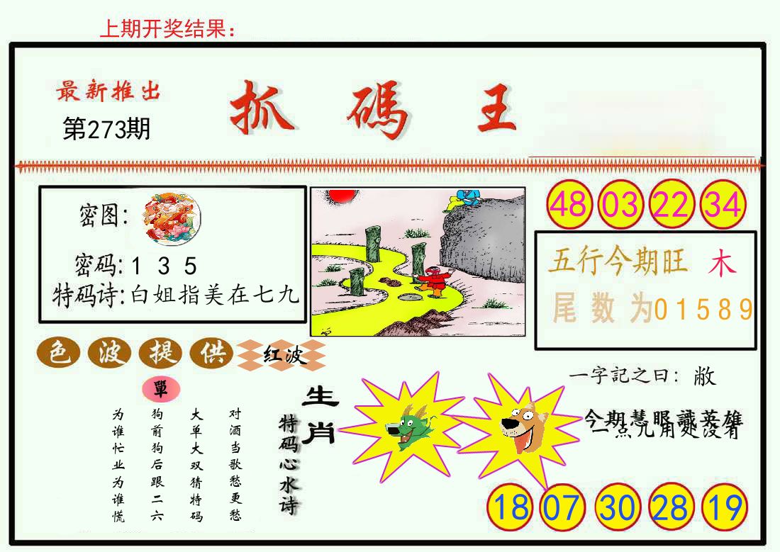 最新抓码王 第273期