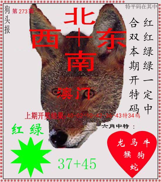 狗头报 第273期