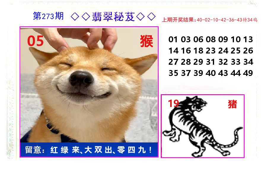 翡翠秘芨 第273期