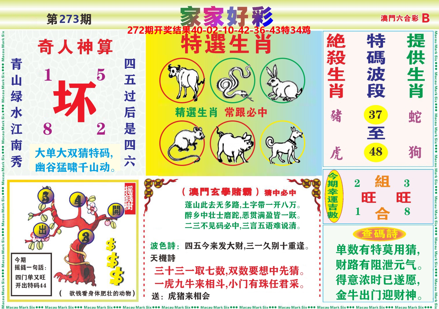 家家好彩B 第273期