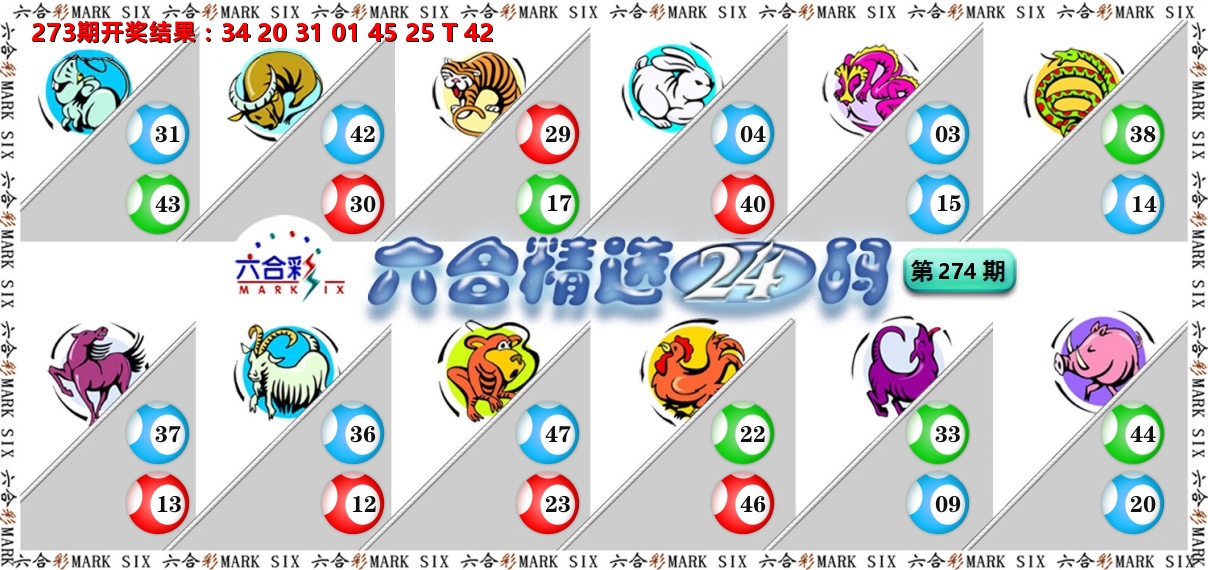 六合精选24码 第274期