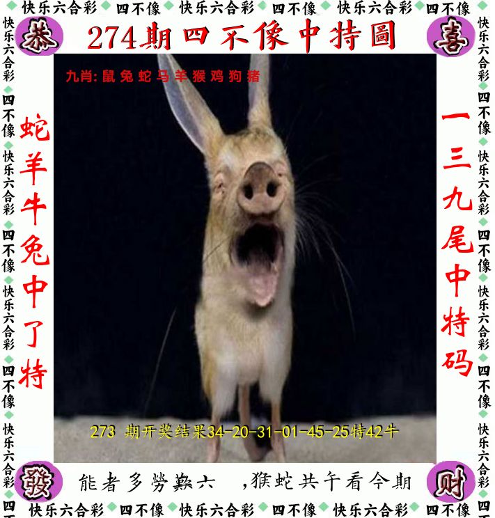 四不像 第274期