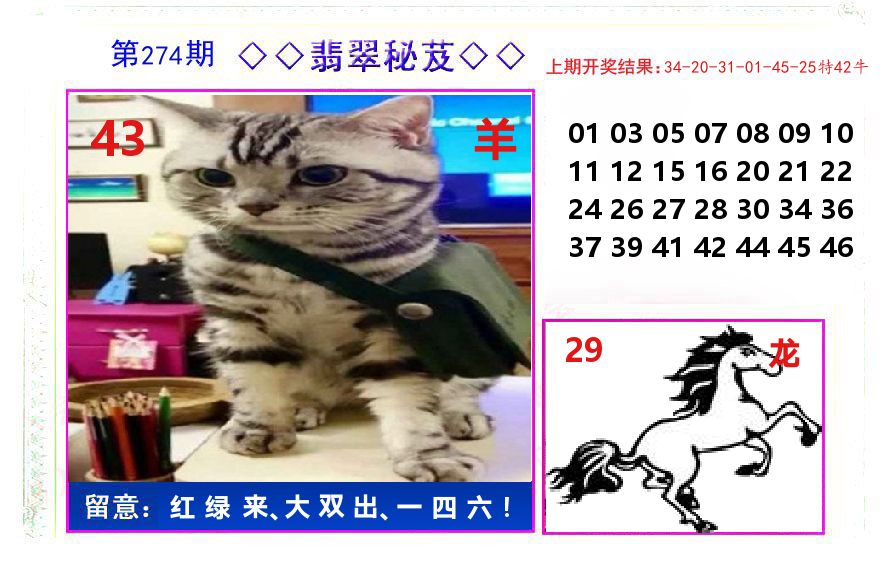 翡翠秘芨 第274期