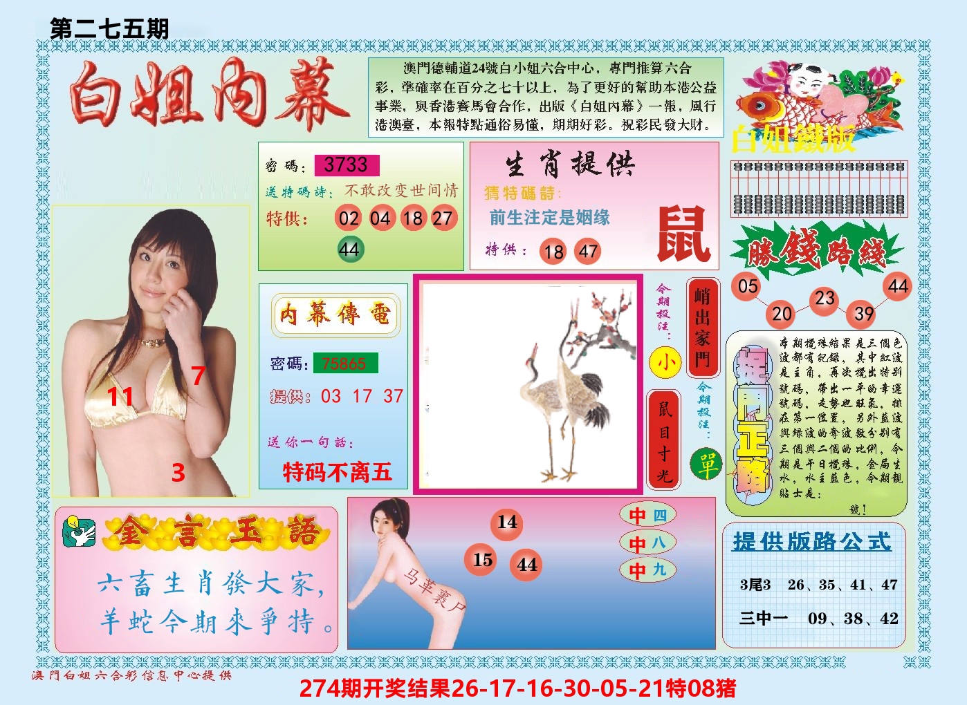 澳门白姐内幕 第275期