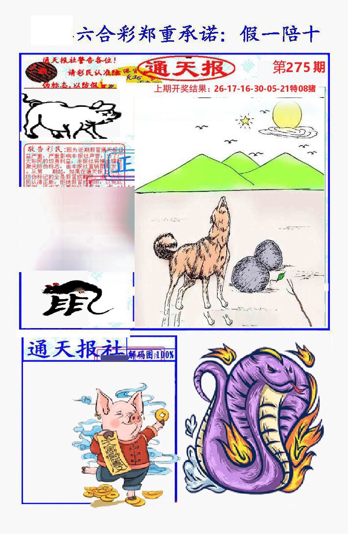通天报 第275期