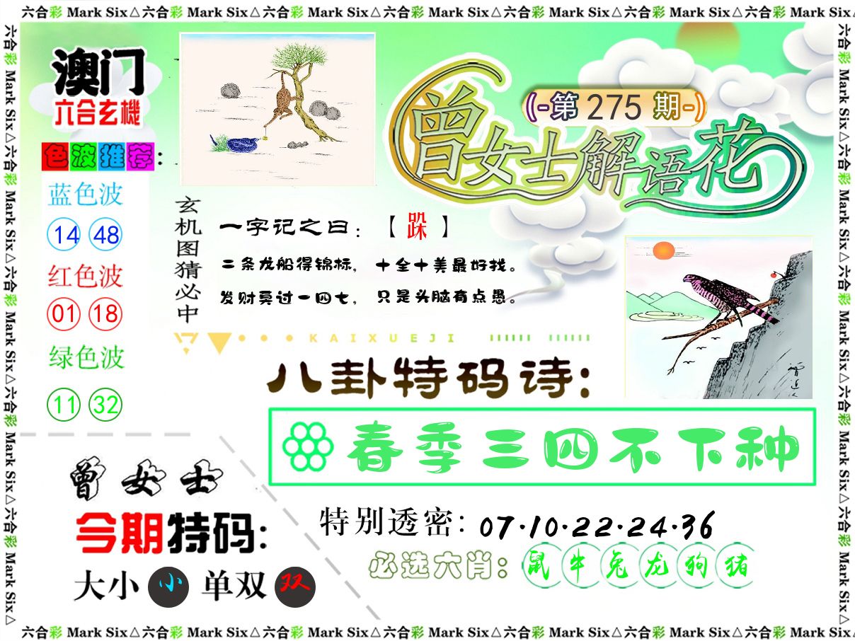 曾女士解语花 第275期
