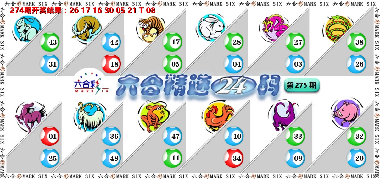 六合精选24码 第275期