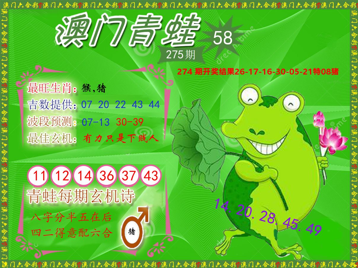 青蛙系列58 第275期