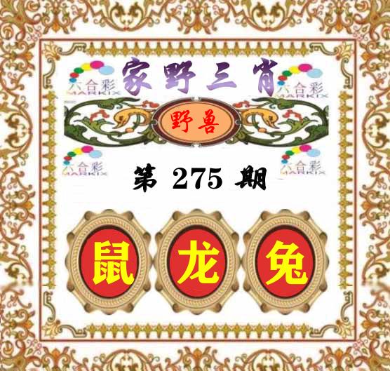 家野三肖 第275期