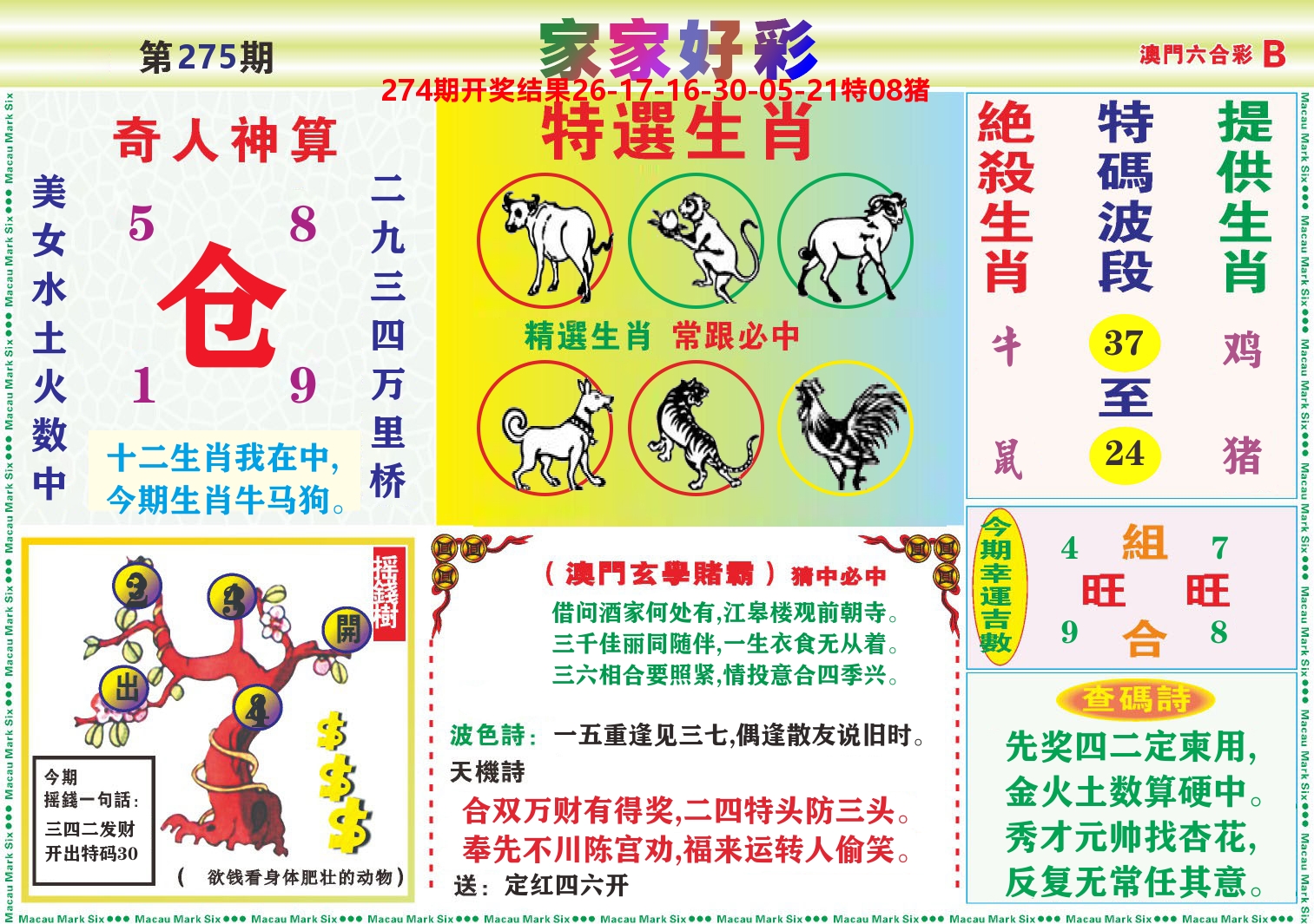 家家好彩B 第275期