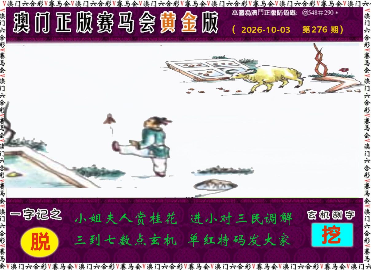 赛马会黄金版 第276期