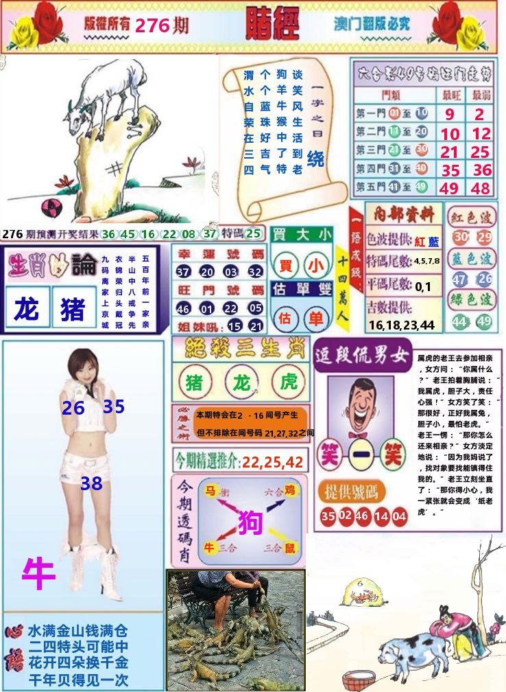 澳门赌经 第276期