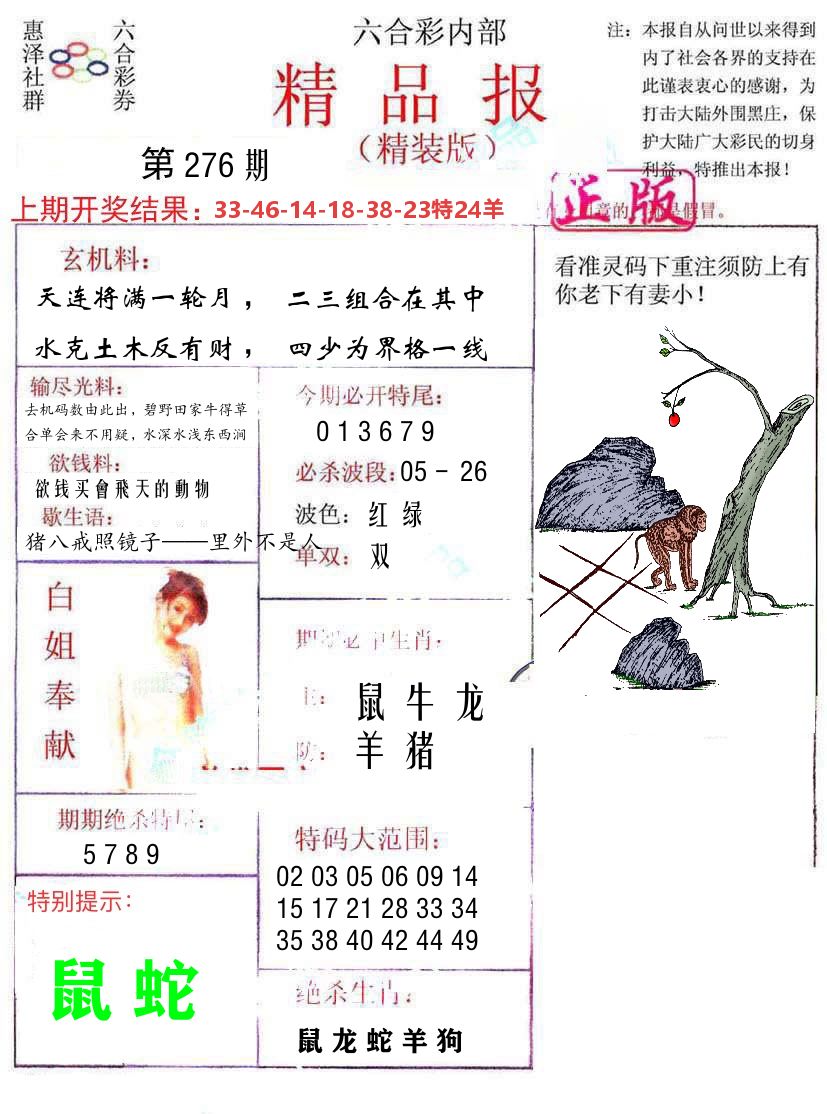 精品报 第276期