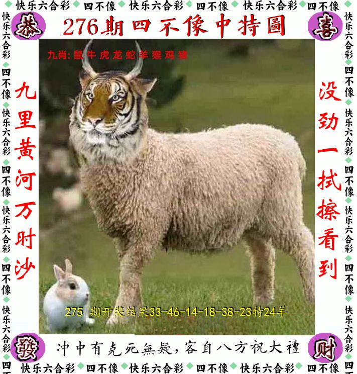 四不像 第276期