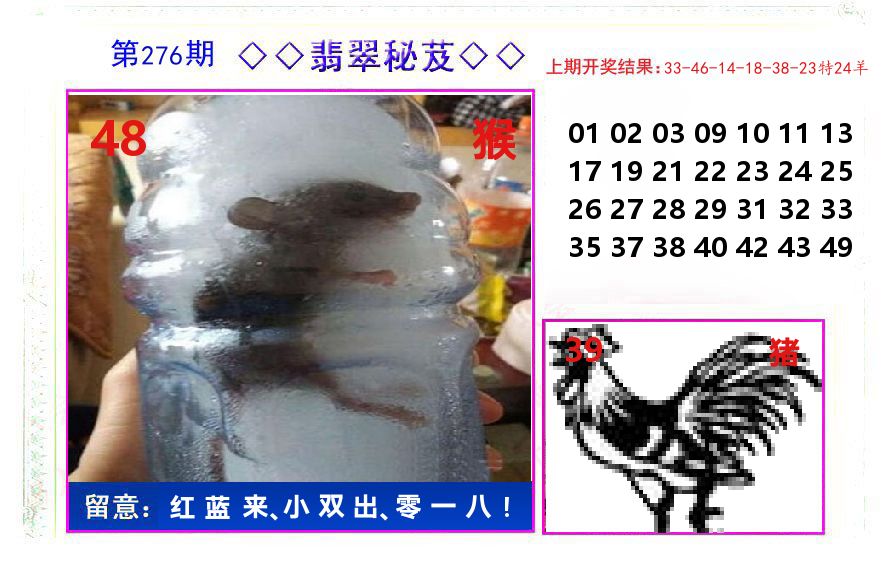 翡翠秘芨 第276期