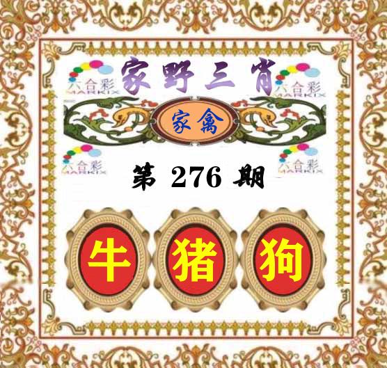 家野三肖 第276期