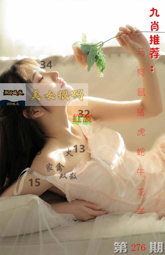 美女报码 第276期