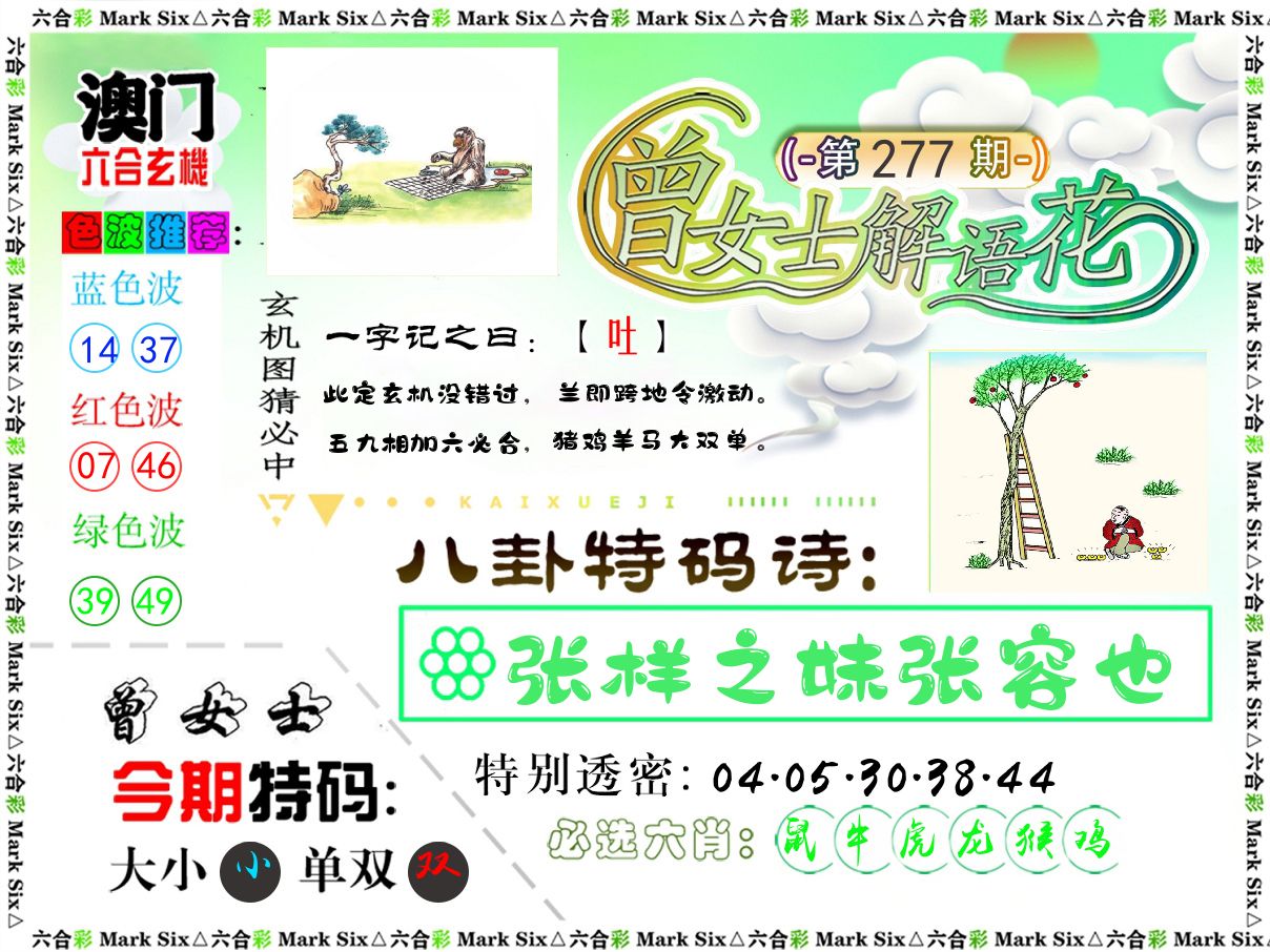 曾女士解语花 第277期