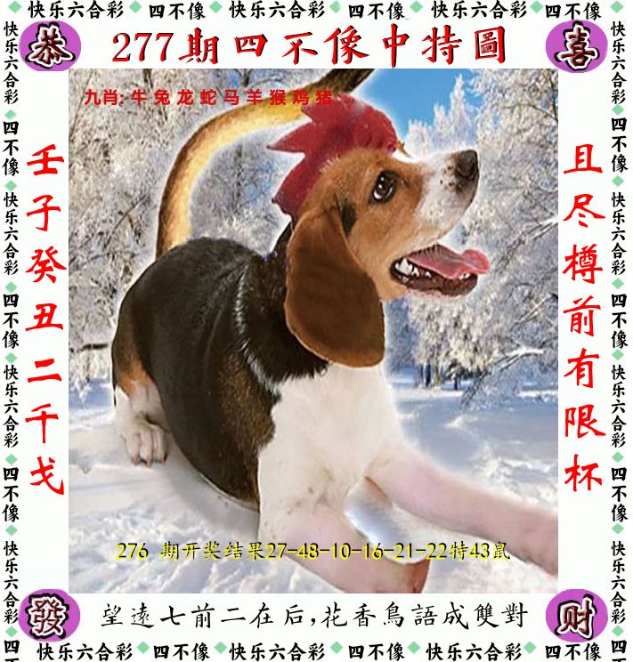 四不像 第277期