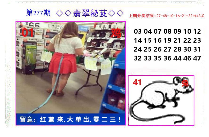 翡翠秘芨 第277期