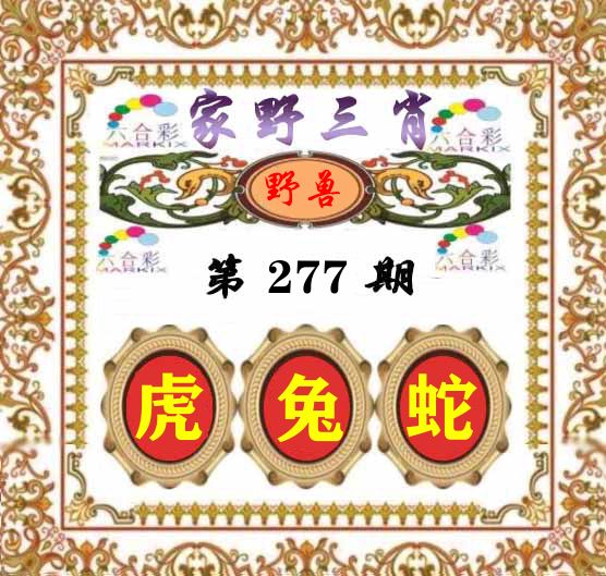 家野三肖 第277期