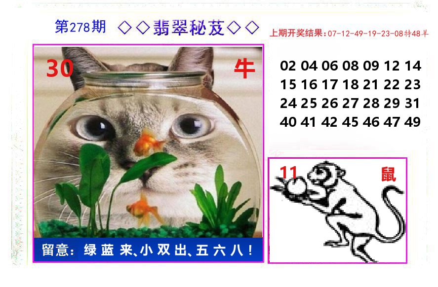 翡翠秘芨 第278期