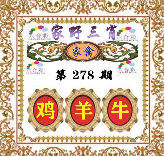 家野三肖 第278期