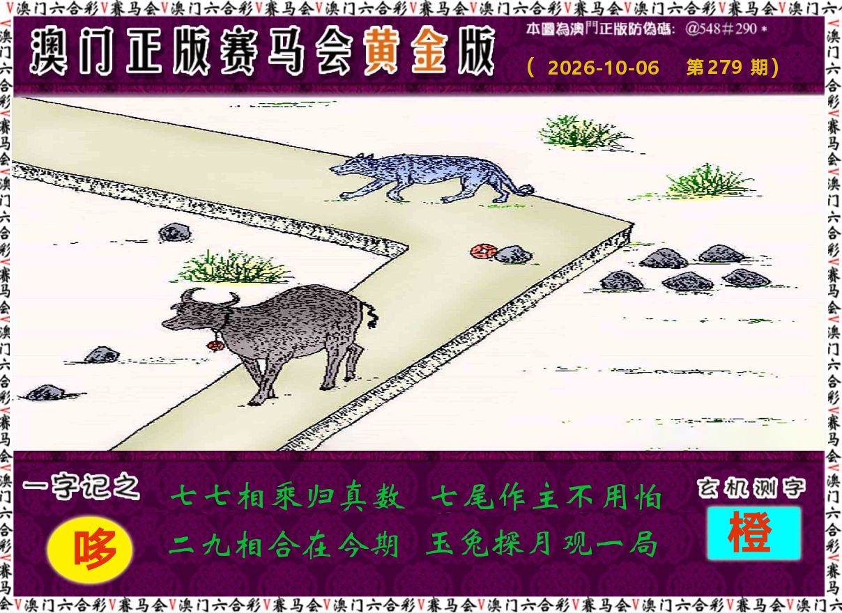 赛马会黄金版 第279期