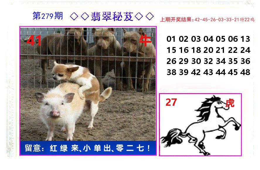 翡翠秘芨 第279期