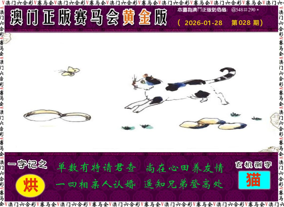 赛马会黄金版 第28期