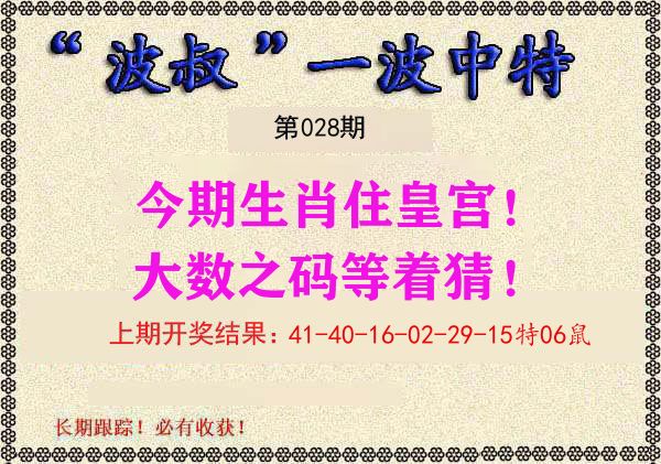 波叔中特 第28期