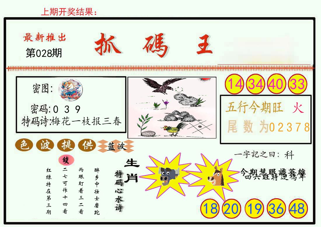 最新抓码王 第28期
