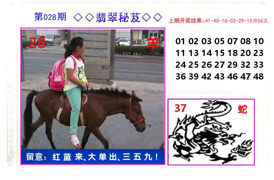 翡翠秘芨 第28期