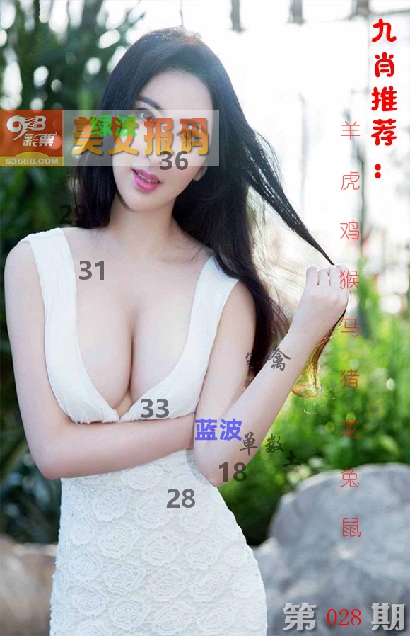 美女报码 第28期