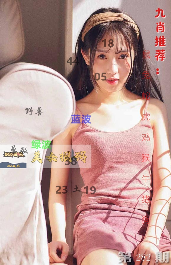 美女报码 第282期