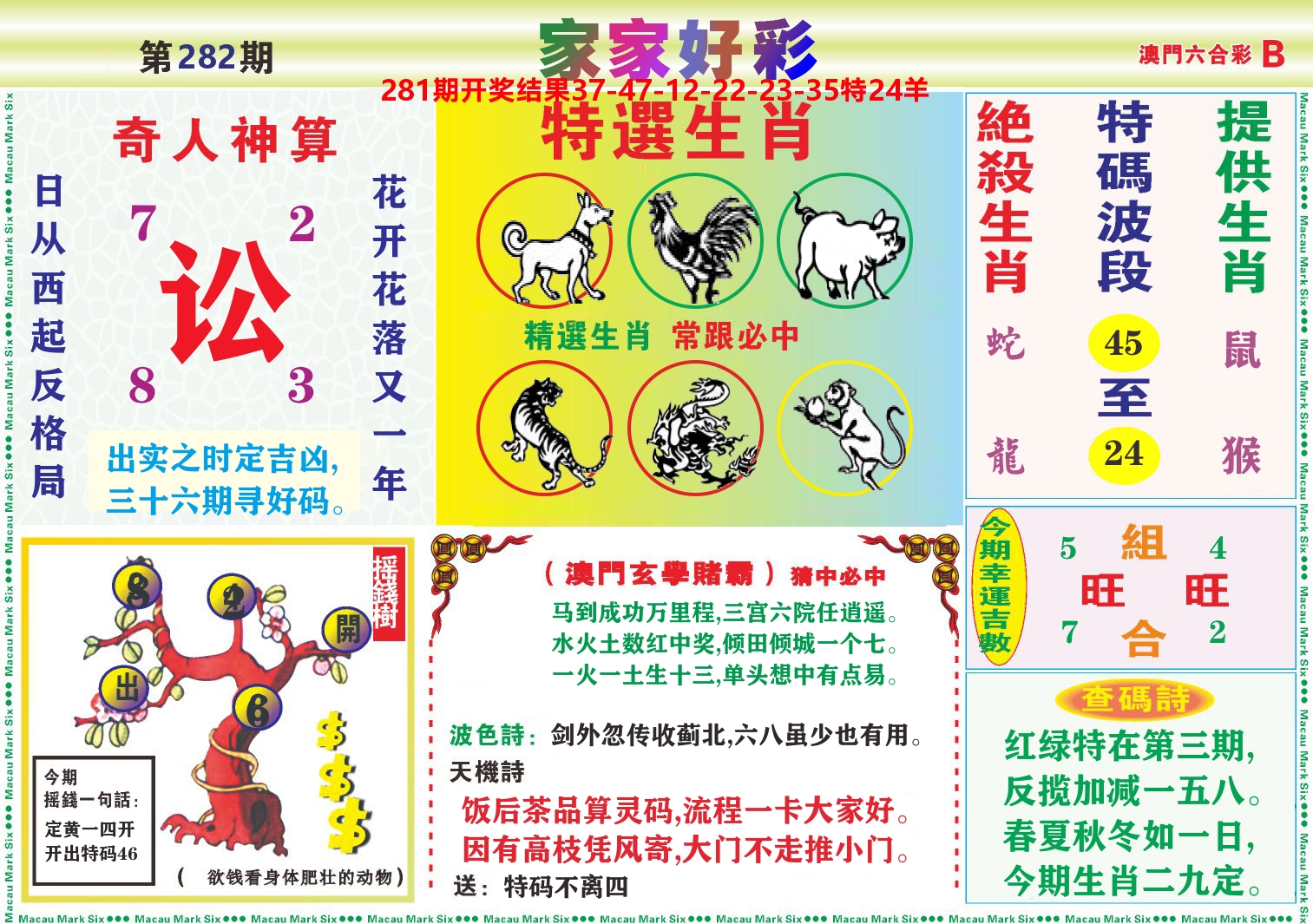 家家好彩B 第282期