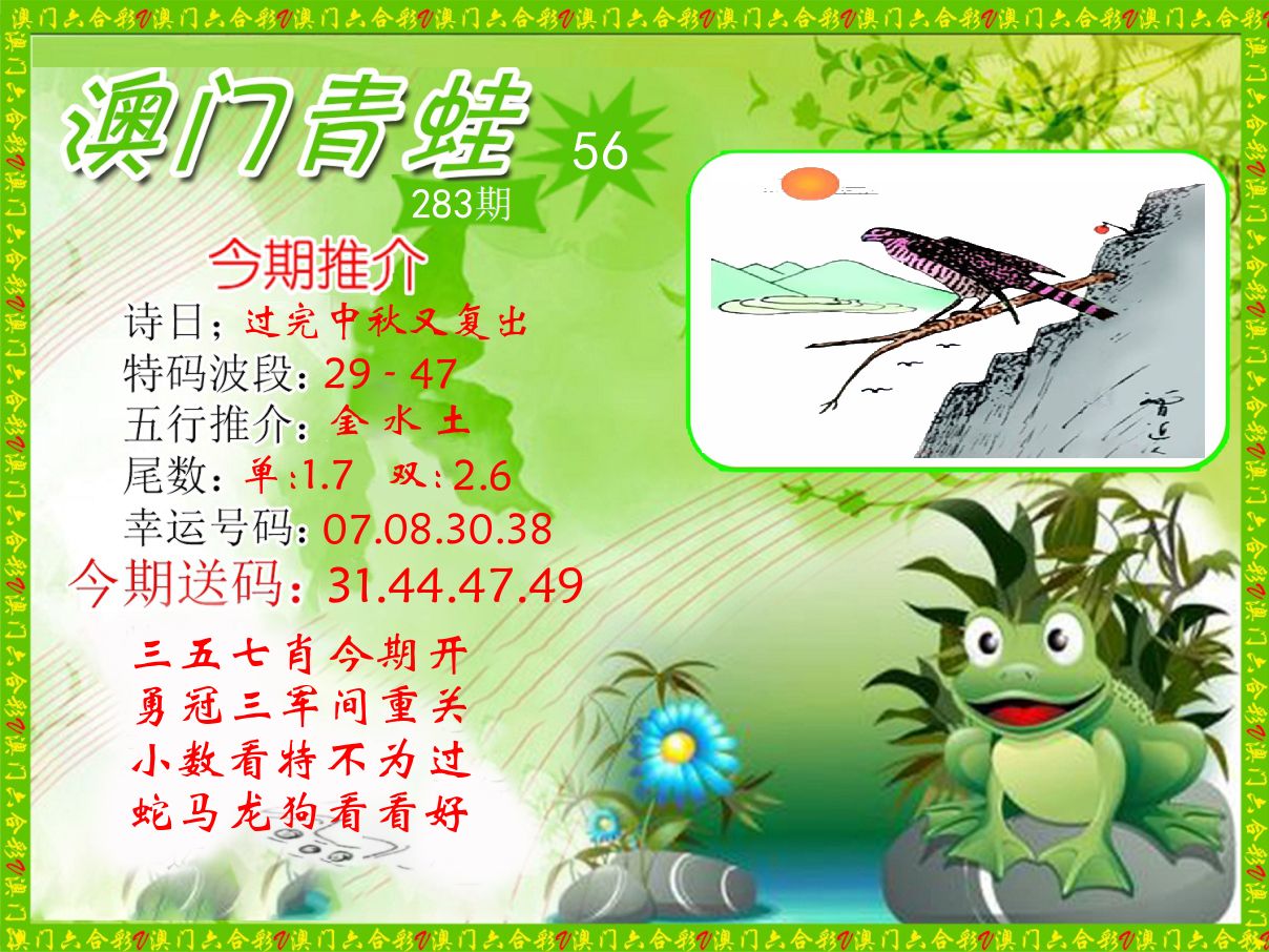 青蛙系列56 第283期