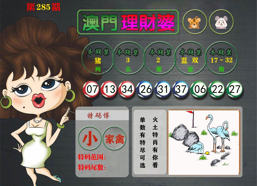 理财婆 第285期