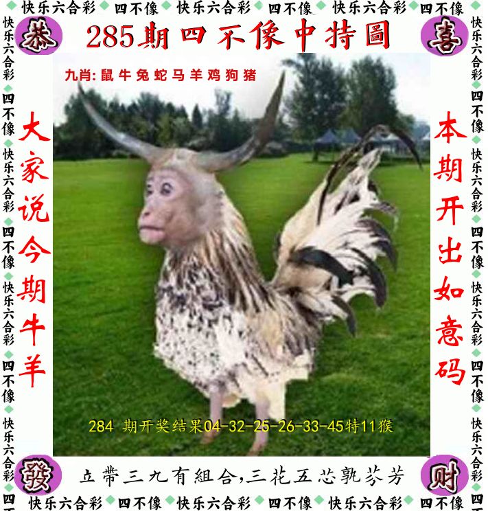 四不像 第285期